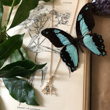 Load image into Gallery viewer, The Fae Necklace- Gold