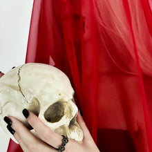 Charger l'image dans la galerie, Gothic Bow Ring