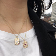 Load image into Gallery viewer, Wild at Heart Charm with necklace