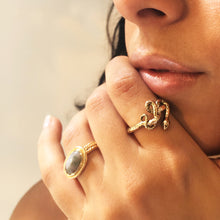 Load image into Gallery viewer, Roman Bloodstone Ring