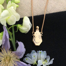 Load image into Gallery viewer, Magical Potions Necklace
