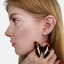 Opal Fae Stud Earrings - Gold