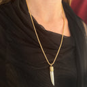 Wolf's Tooth Necklace