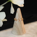 The Fae Ring