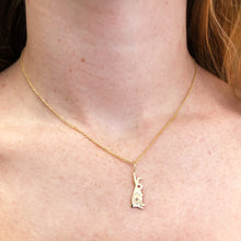 Load image into Gallery viewer, Rabbit Heart Necklace
