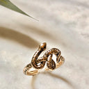 Anillo Serpiente Medusa